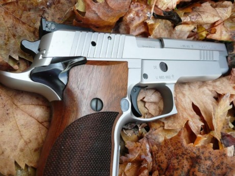 Un amigo me encarga que venda esta SIG SAUER P226 S, está casi perfecta, quitando algúna pequeña rayita. 30