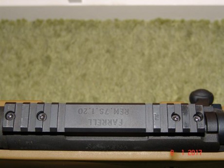 * Calibre .308 Win
* Cañón de 51 cm. acanalado
* Chasis AICS color FDE (Flat Dark Earth) con culata plegable
* 02