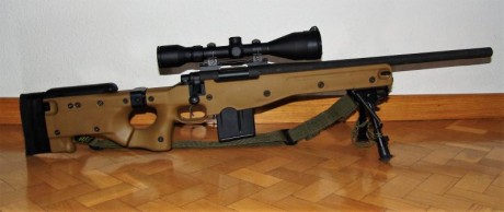 * Calibre .308 Win
* Cañón de 51 cm. acanalado
* Chasis AICS color FDE (Flat Dark Earth) con culata plegable
* 00