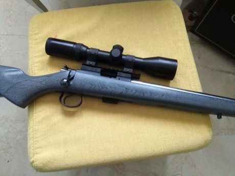 pues eso un amigo me pide que ponga a la venta su carabina ceska varmint 452 con estas caracteristicas
- 20