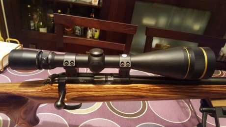 Pues lo dicho vendo esto dos magnificos visores para hacer un poco de caja para un futuro 308 win .

En 01