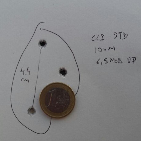 Voy a reestructurar mi armero y vendo carabina semiautomatica tactica Walther G22 22LR con 2 cargadores 31