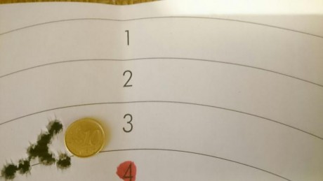 Aunque yo todavía no dispongo de RS, la encargué el pasado viernes y espero tenerla esta semana, me gustaría 130