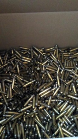 Se pone en venta un lote de 1000 vainas del calibre .223 marca FIOCCHI tipo BOXER aptas para transformación 00