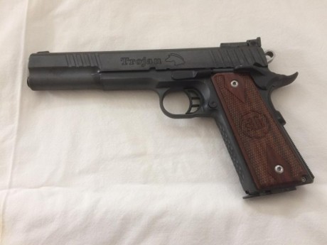 Vendo STI Trojan 9 mm 6" por no usar.
Muy buen estado como se puede apreciar en las fotos. Muy pocos 02