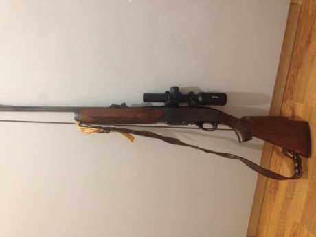 Buenas.
¿Alguien interesado en cambiar un palenquero cal 45-70 por un semiautomático rem 7400 calibre 31