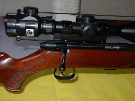 Vuelvo a poner en venta esta carabina, dotada de un visor Sutter y bípode.
Adecuada para iniciarse en 00