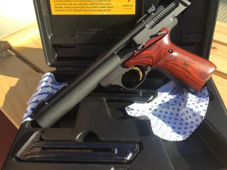 Hola,vendo esta pistola por no usarla,está en perfectas condiciones tiene dos cargadores.
Envios,si los 00