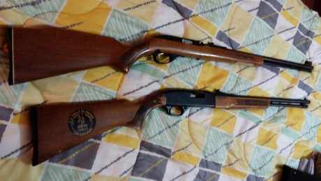 Hola un amigo vende estas dos carabinas y me ha pedido que publique el anuncio ambas estan muy cuidadas 00