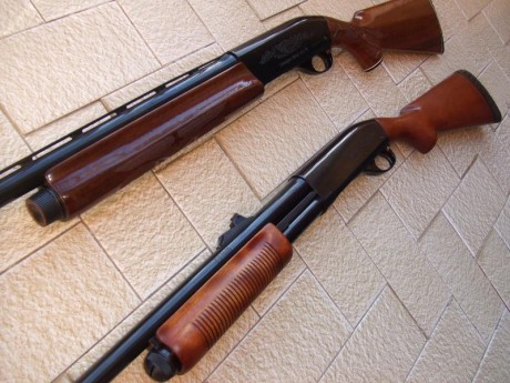 Hola, recientemente he adquirido la Remington 1100 que estaba a la venta en la Armería Navas, para mí 60