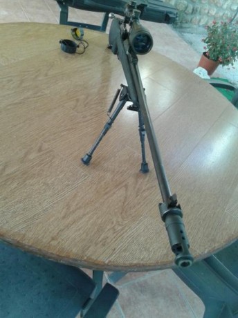 Savage 12 Palma con carril 20 moa.

Calibre 308 Win.

Precio: 900 euros + envío.

Posibilidad de Visor 160