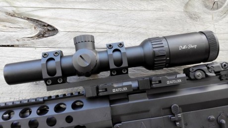 Pongo a la venta este visor Dallas Shep 1-6x24.

Solo montado y estrenado un dia con el Blackout. Como 00