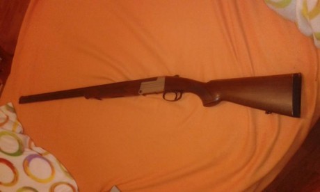Hola.

Vendo escopeta superpuesta calibre 410 magnum, marca Investarm, chokes 1 y 3 estrellas, cañon 71 02