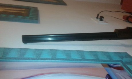 Hola.

Vendo escopeta superpuesta calibre 410 magnum, marca Investarm, chokes 1 y 3 estrellas, cañon 71 01