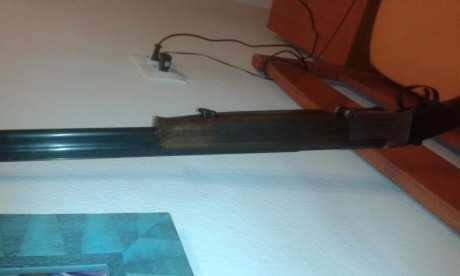 Hola.

Vendo escopeta superpuesta calibre 410 magnum, marca Investarm, chokes 1 y 3 estrellas, cañon 71 00