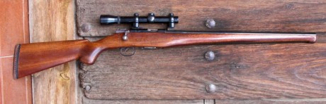 Vende  un amigo mio, una carabina destroyer del 9mm, esta impecable, con un visor de aumento fijo de 2,5x24 02