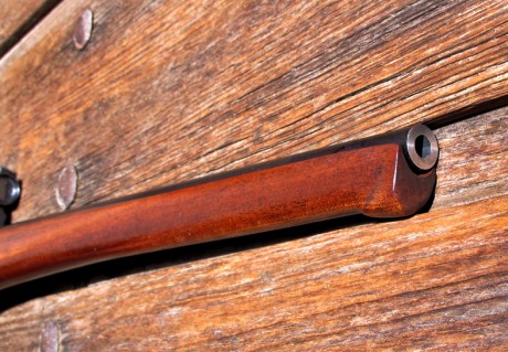 Vende  un amigo mio, una carabina destroyer del 9mm, esta impecable, con un visor de aumento fijo de 2,5x24 00