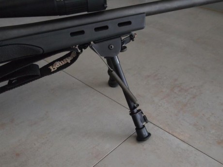 Se vende Remington 700 SPS VARMINT 308w

Se vende por no usar Remington 700 SPS Varmint 308w en perfecto 10
