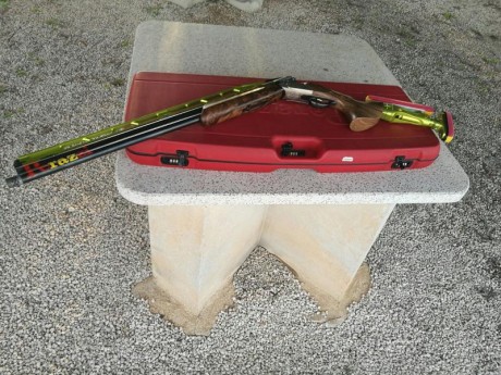 Hola a todos compañeros, hoy en el campo de tiro vi una beretta que llevaba este tipo de culata puesta. 50