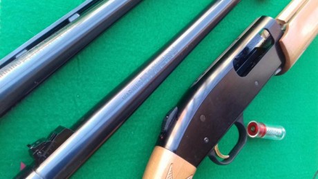 Después de la 2ª guerra mundial hay una explosión de vida, las compañías de armas vuelven a su normalidad 170