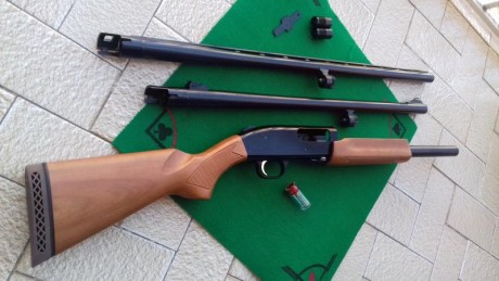 Después de la 2ª guerra mundial hay una explosión de vida, las compañías de armas vuelven a su normalidad 00