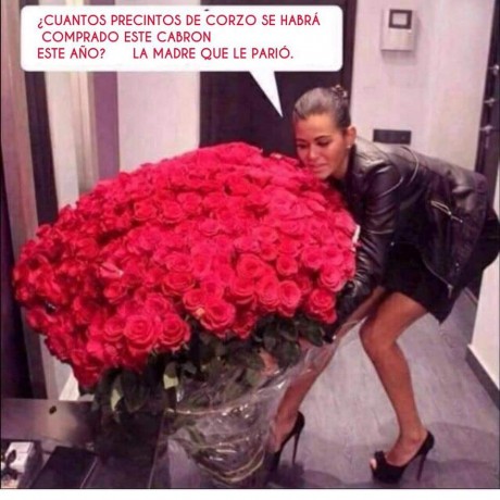 ¡Muy buenas a todos!

Estaba dando un paseo por el foro, cuando me he dado cuenta de que no había un hilo 10