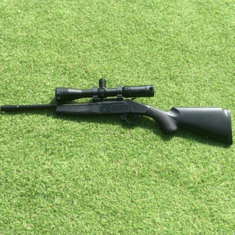 Vendo por no usar.
Cañón corto 38cm
Apenas he tirado una caja de balas y he sido el primer comprador.
Incluye 02