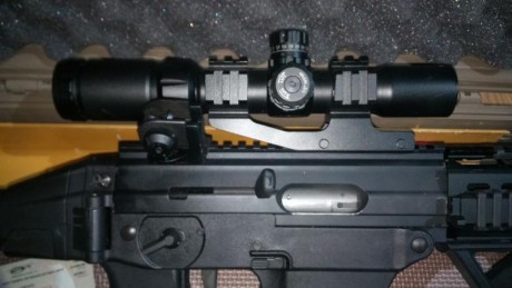 Por falta de uso vendería SIG 522, con sus accesorios.

Tiene montado un quad rail, y también tiene el 11