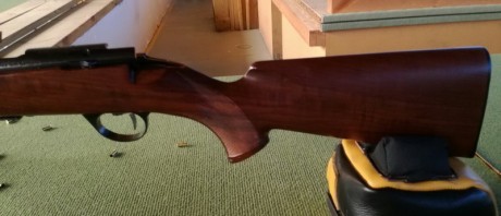 Un amigo vende estas dos carabinas Anschütz: 

- Modelo 1913
   - Culata Precis para tendido, B.R., Mini 31