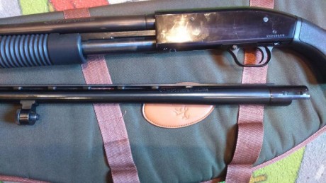 Mossberg-Maverick con dos caňones, uno corto cilíndrico y uno de caza con 4 chockes y solista ventilada.
Muy 41