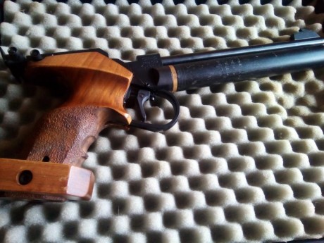 Vendo pistola Walther CP2 de competición con maletín, cartucho de repuesto y accesorios.

PRECIO: 350 00