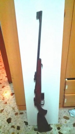 Vendo rifle cz del 222, con municion, vainas, puntas y matrices,  o cambio por palanquero marlin 444, 02