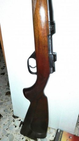 Vendo rifle cz del 222, con municion, vainas, puntas y matrices,  o cambio por palanquero marlin 444, 01