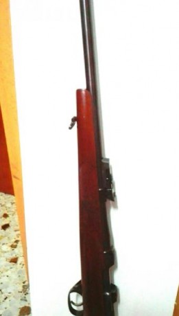 Vendo rifle cz del 222, con municion, vainas, puntas y matrices,  o cambio por palanquero marlin 444, 00