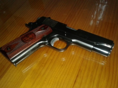 Reduzco mi plantilla... WALTHER GSP EXPERT Cal.22, S&W Target Champion 357 y Norico 45 cuatro pulgadas. 80