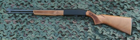 Vendo Carabina del 22 LR, Winchester modelo 290.

Tiene años, pero esta muy bien cuidada y el funcionamiento 00