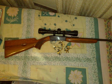 A ver si podeis echarme una mano; quiero comprarme una 22 y me gustaria que me dierais vuestra opinión 160