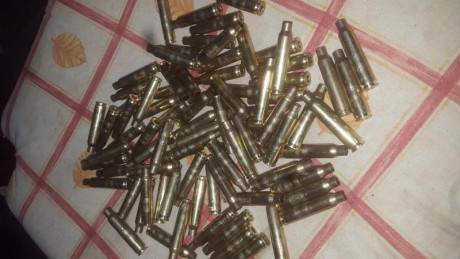 Vendo o cambio vainas 
30-06 94vainas 1 disparo (57norma 19sellierbellot 18winchester) 25e
762x54r 35 01