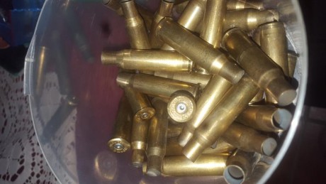 Vendo o cambio vainas 
30-06 94vainas 1 disparo (57norma 19sellierbellot 18winchester) 25e
762x54r 35 11