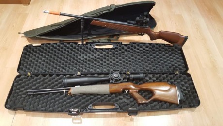 Vendo mis carabinas del 4.5 por dar el paso a PCP. Son la Cometa Fusion GP (gas ram) con carril picatinny, 02