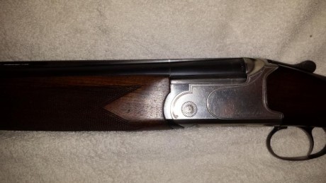 Vendo escopetas una superpuesta marca fabarm galesi calibre 12 y otra semiautomática marca Beretta a304 01