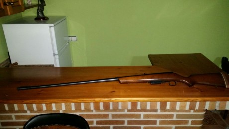 Un amigo me pide que le ponga este anuncio:
Se vende escopeta de cerrojo, marca MARLIN, calibre 12 (ampliando 02