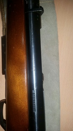 Un amigo me pide que le ponga este anuncio:
Se vende escopeta de cerrojo, marca MARLIN, calibre 12 (ampliando 01