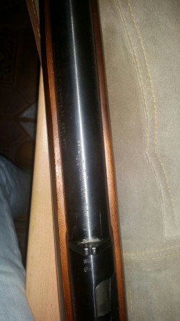 Un amigo me pide que le ponga este anuncio:
Se vende escopeta de cerrojo, marca MARLIN, calibre 12 (ampliando 12
