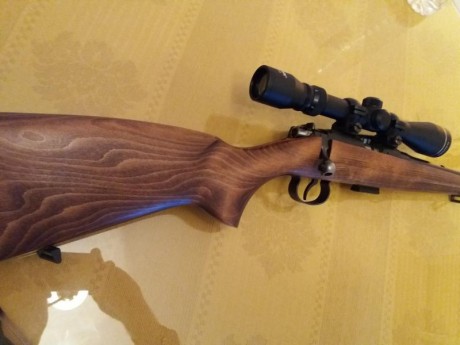 Vendo carabina CZ 513 Farmer, cal 22lr, provista de visor 3-9x40, puesta a tiro. El estado es excelente, 00