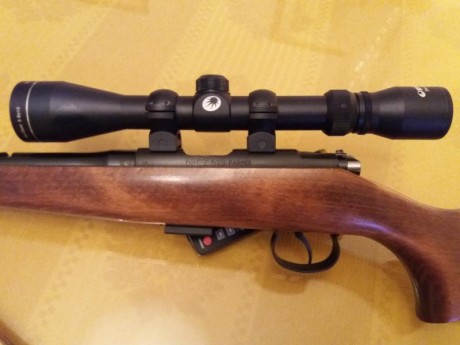 Vendo carabina CZ 513 Farmer, cal 22lr, provista de visor 3-9x40, puesta a tiro. El estado es excelente, 11