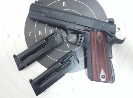 Hola, vendo pistola Sig Sauer 1911 cañ. 22lr., primer propietario, con un año de uso y aproximadamente 01