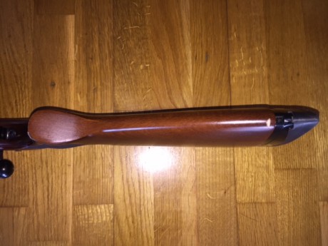 Vendo carabina Anschutz modelo 1517 calibre 17 HMR, incorpora carril weaver especifico para Anschutz, 00