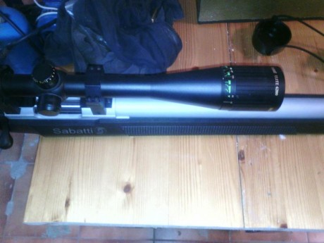 Vendo un visor bushnell 6-24x40, lo vendo por no ver los impactos del 22 a 200mtrs, con un 308 de fabula, 00