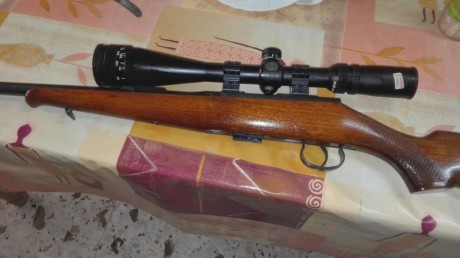 Vendo dos carabinas del 22 LR, una es una brno del año 67, estas carabinas estaban muy buscadas por su 02